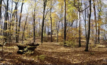 Fall Reconnection Weekend